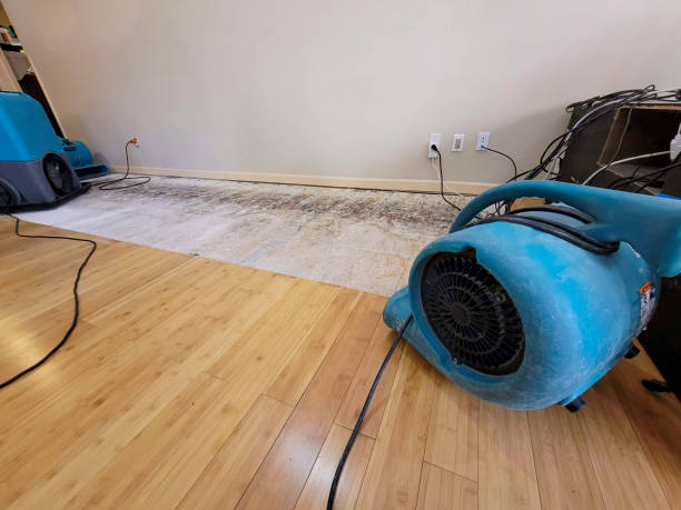 Professional Water Removal technician working in Stayton, OR